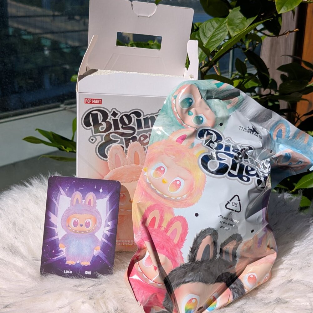 POP MART - Luck OPEN BOX - The Monsters Labubu Big Into Energy Vinyl Plush